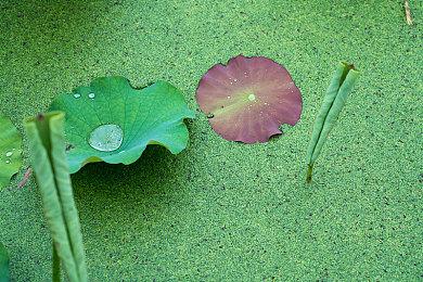 沉浸式真人互动体验  steam喊你一起探秘惊悚黄泉